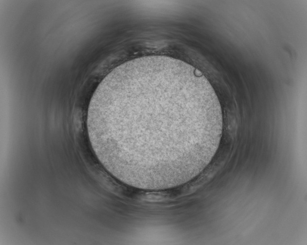 X0000111940758200909071259