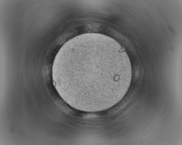 X0000111940759200909071259