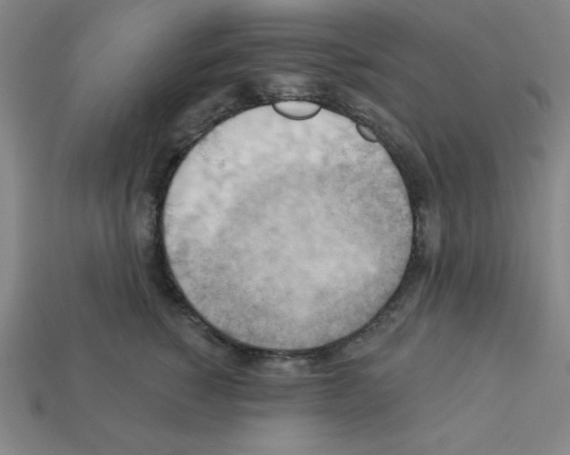 X0000111940760200909071259