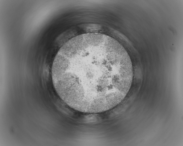 X0000111940761200909071259