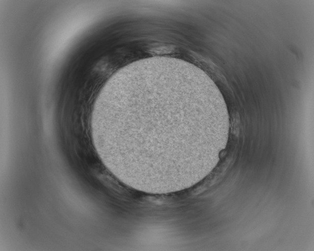 X0000111940763200909071259