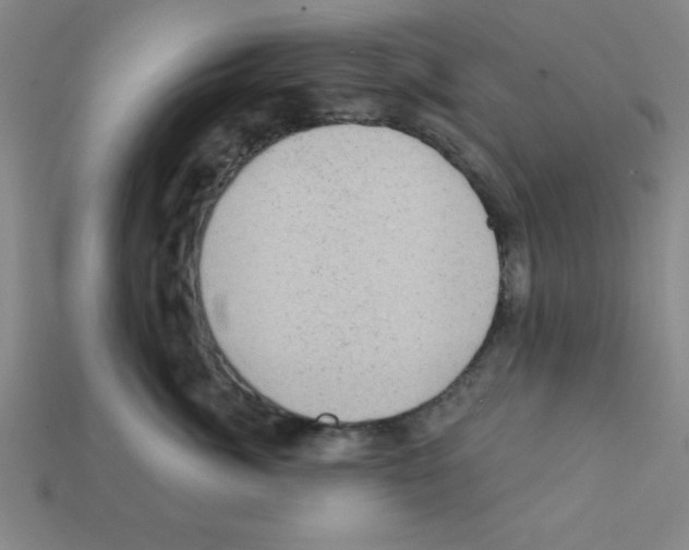 X0000111940764200909071259