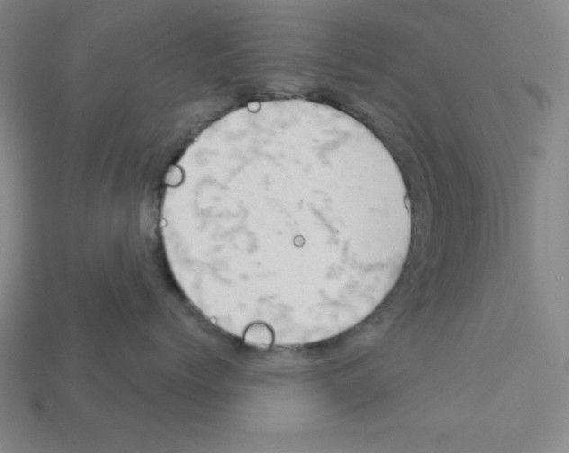X0000111940768200909071300