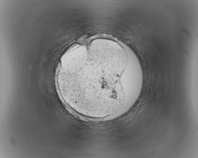 X0000111940769200909071259