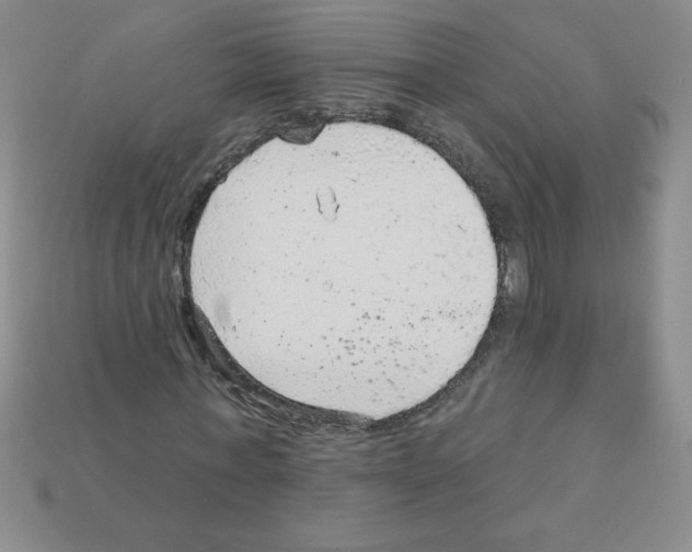X0000111940771200909071259