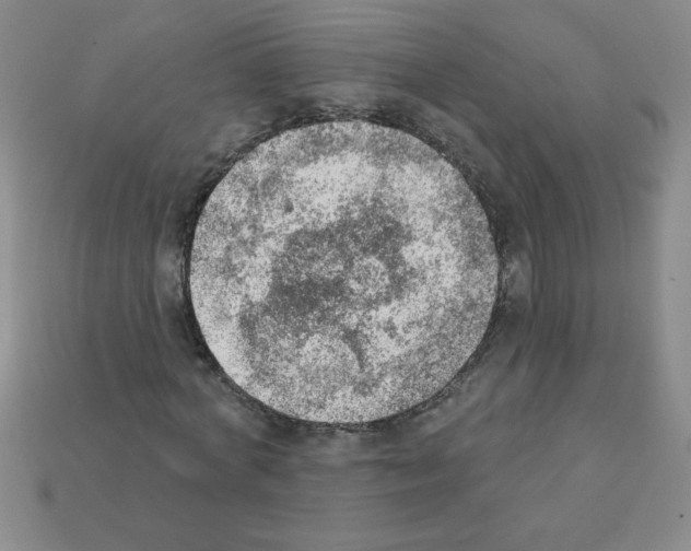 X0000111940772200909071259