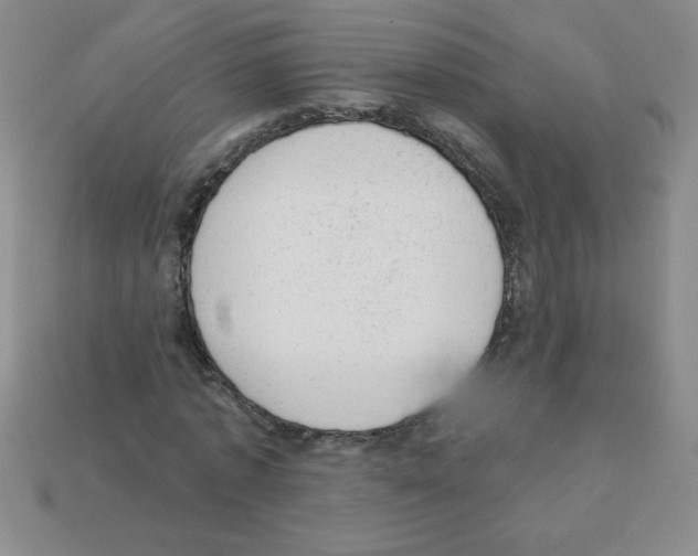 X0000111940773200909071259
