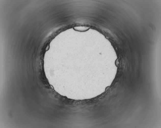 X0000111940776200909071259