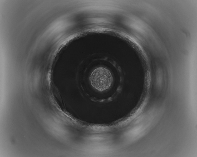X0000111940777200909071259