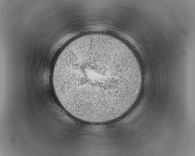 X0000111940778200909071259