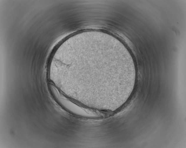 X0000111940779200909071259