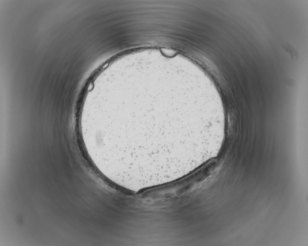 X0000111940780200909071259