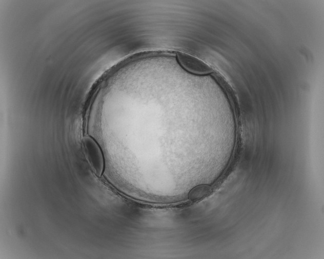X0000111940781200909071259