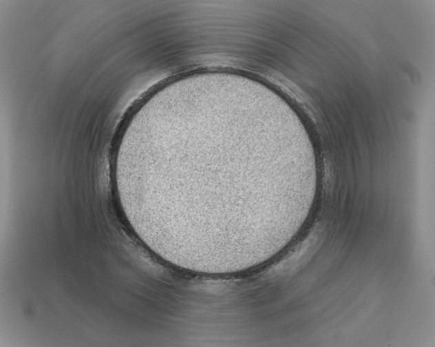 X0000111940782200909071259
