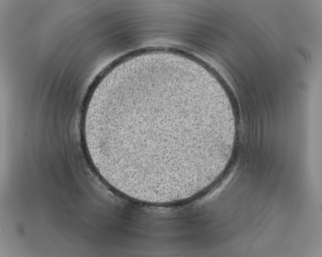X0000111940783200909071259