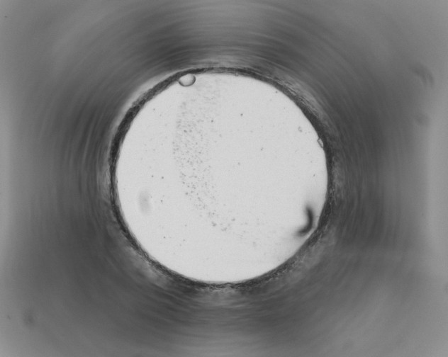 X0000111940784200909071259