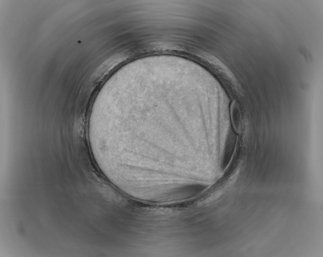 X0000111940785200909071259