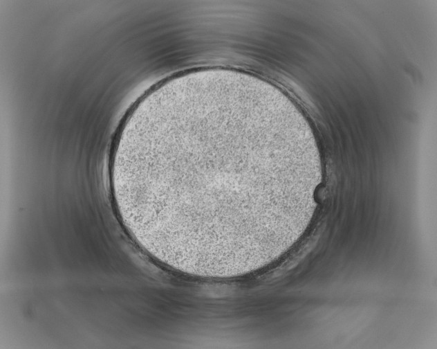X0000111940788200909071258