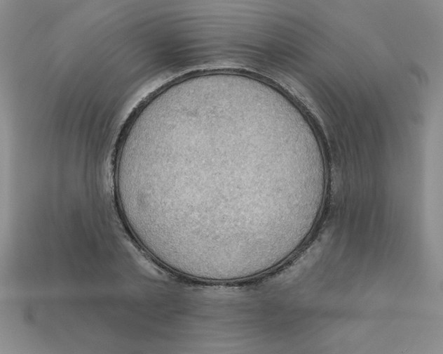 X0000111940789200909071258
