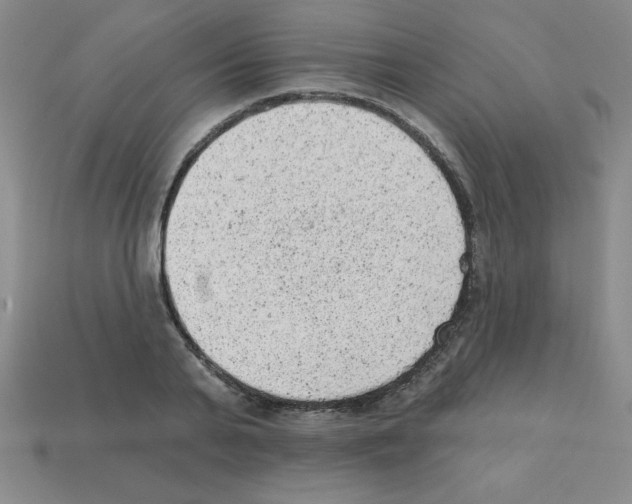 X0000111940791200909071258
