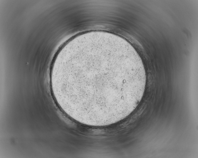 X0000111940792200909071258