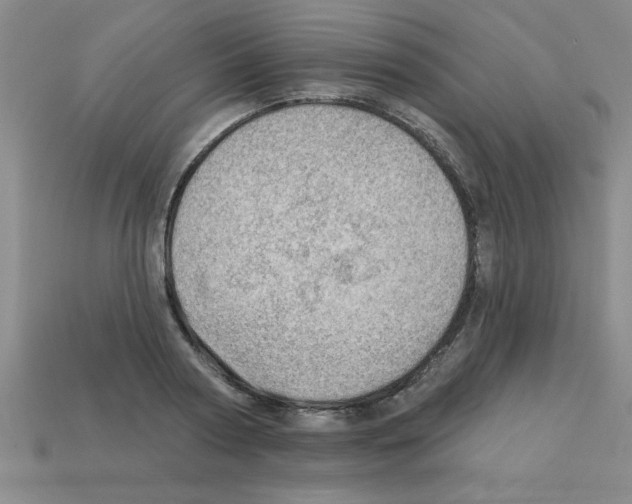 X0000111940794200909071258