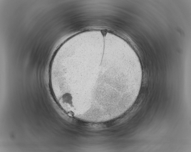 X0000111940795200909071258