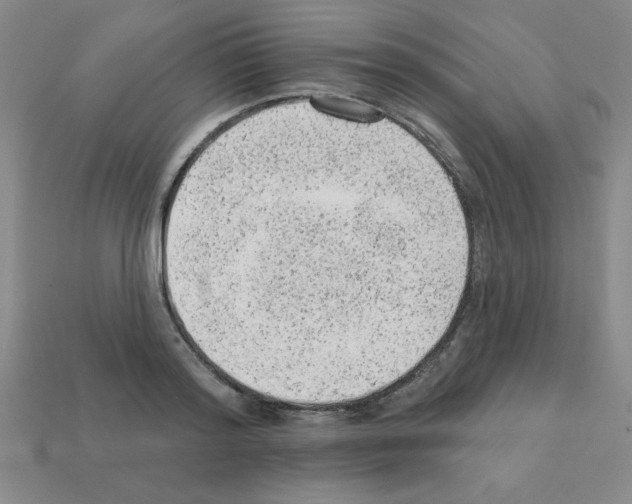 X0000111940796200909071258