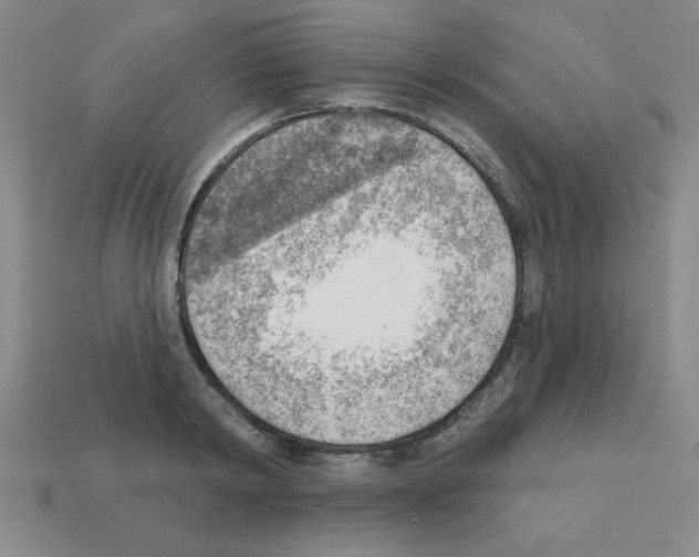 X0000111940798200909071258