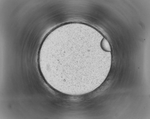 X0000111940799200909071258