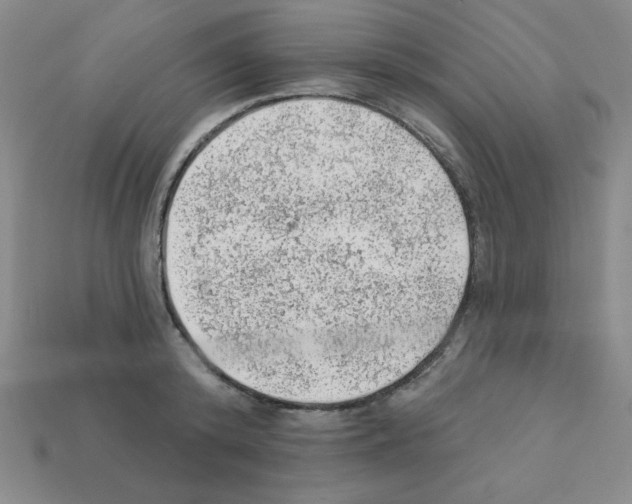 X0000111940800200909071258