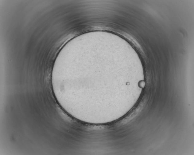 X0000111940801200909071258
