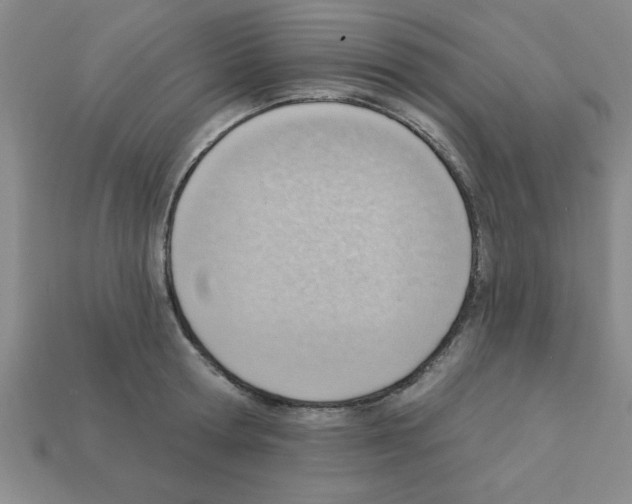 X0000111940802200909071258