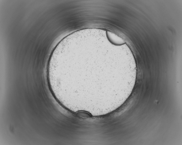 X0000111940803200909071258