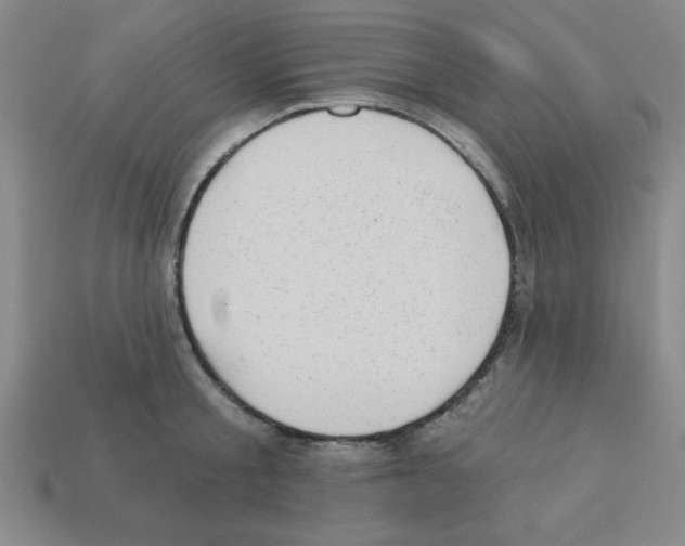 X0000111940805200909071258