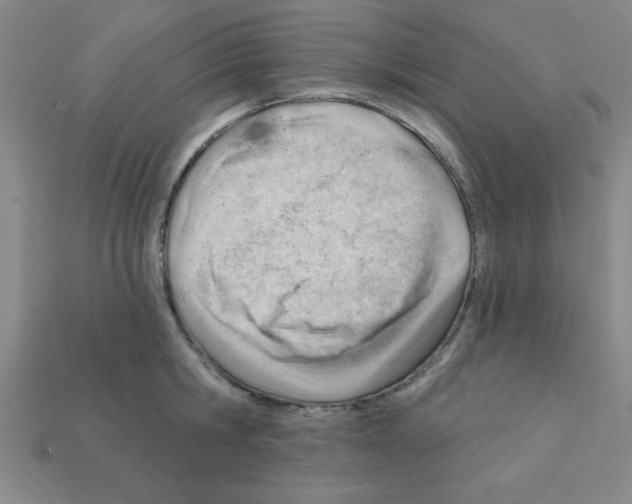 X0000111940806200909071258