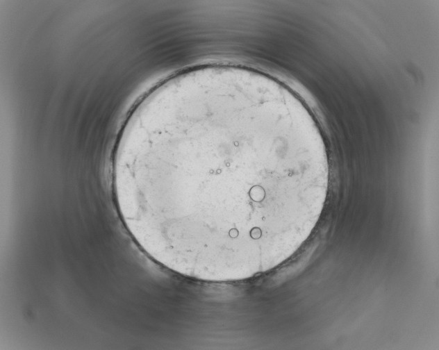 X0000111940807200909071258