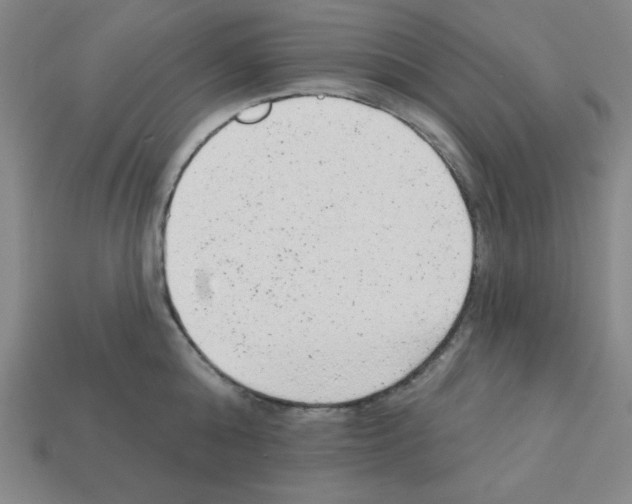 X0000111940808200909071258