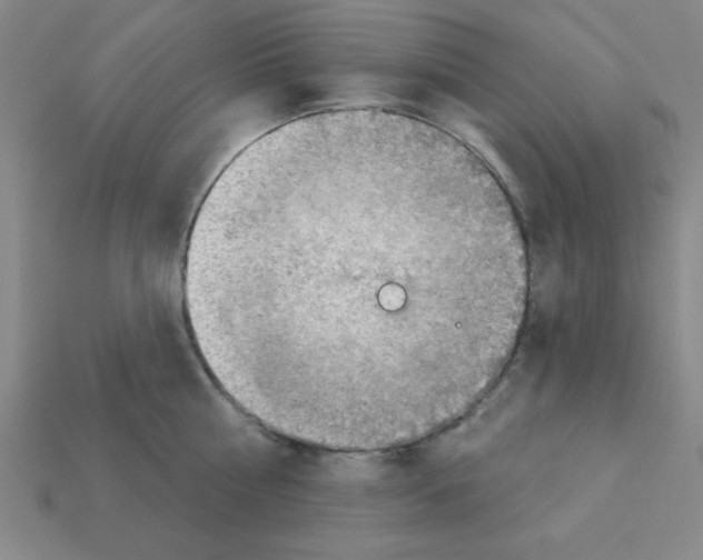 X0000111940810200909071258