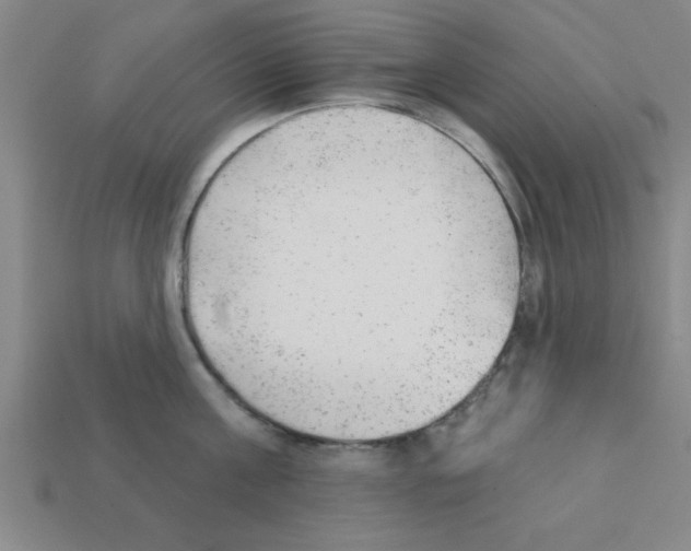 X0000111940811200909071258