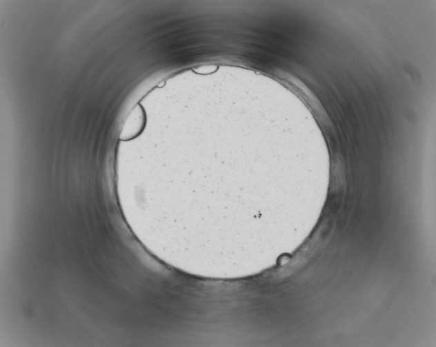 X0000111940812200909071258