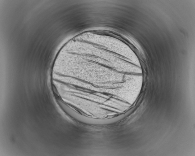 X0000111940813200909071258
