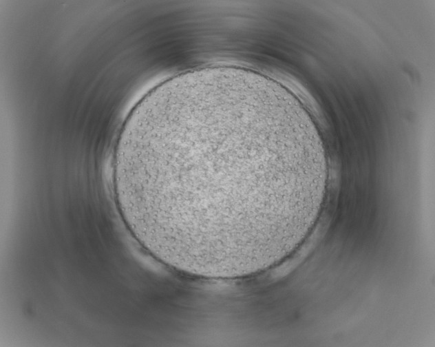 X0000111940814200909071258