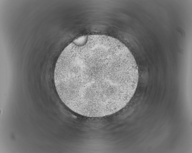 X0000111940817200909071258