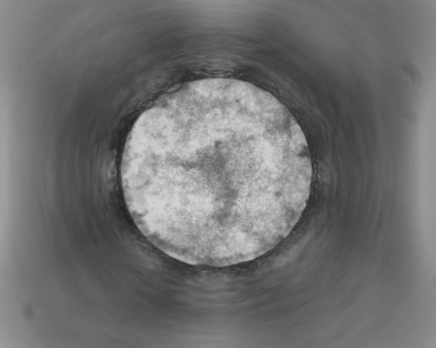 X0000111940818200909071258