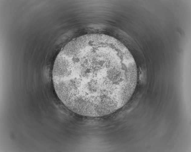 X0000111940819200909071258