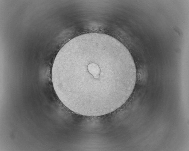 X0000111940820200909071258
