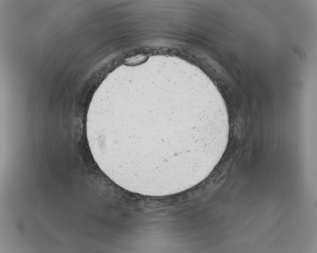 X0000111940821200909071258