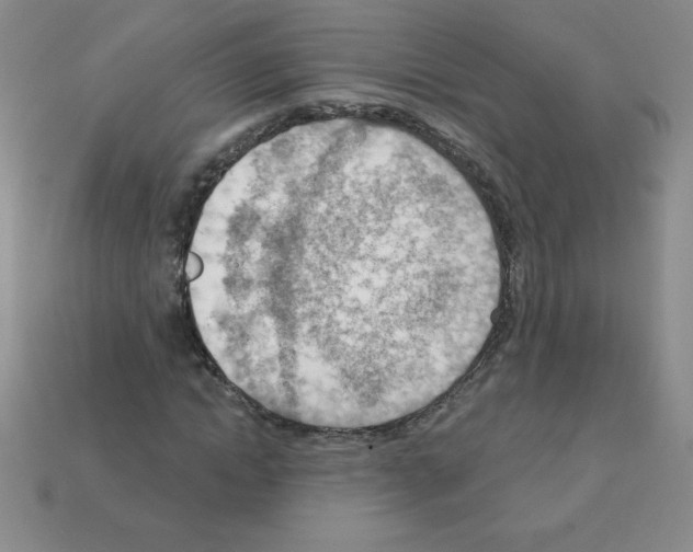 X0000111940822200909071258