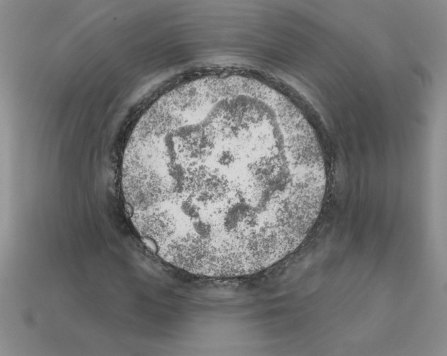 X0000111940823200909071258